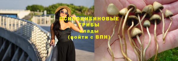 стафф Балабаново