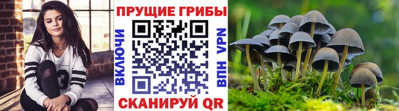 Галлюциногенные грибы GOLDEN TEACHER Лаишево