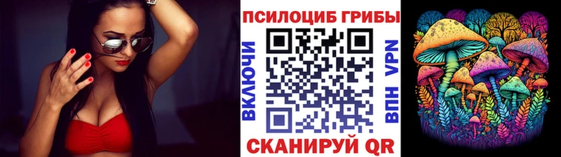 Псилоцибиновые грибы Psilocybine cubensis  Купить где  Лаишево 